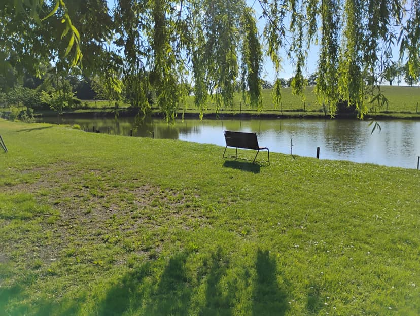Pic Nic Al Laghetto
